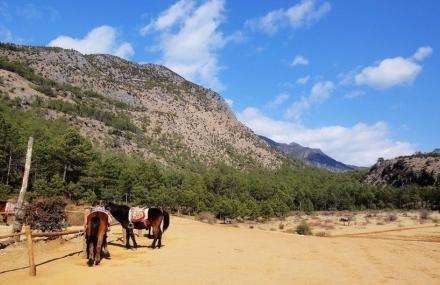 西双版纳茶马古道景区