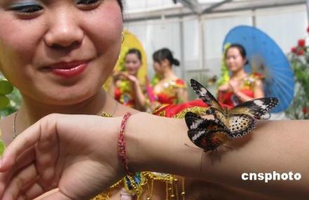 雅安生态蝴蝶园