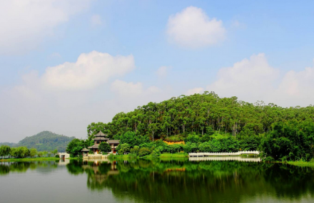 东莞同沙生态公园