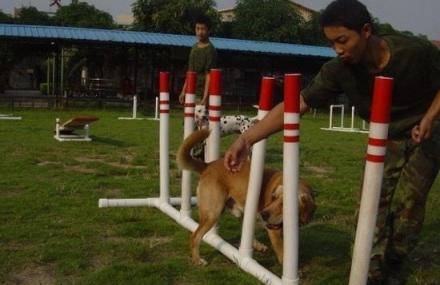 中山多宝宠物乐园