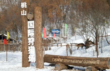 伊春国际狩猎场