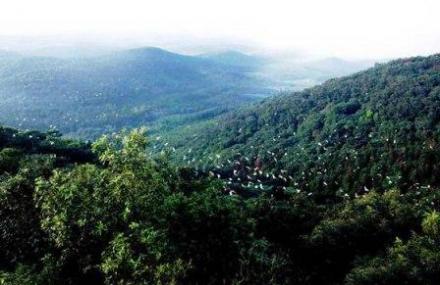 合肥紫蓬山森林公园