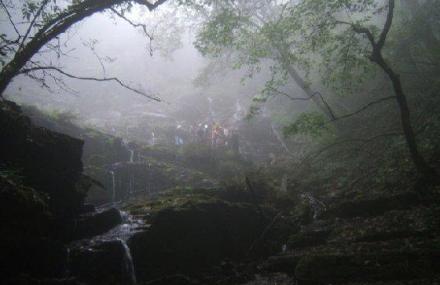 宜昌原始森林