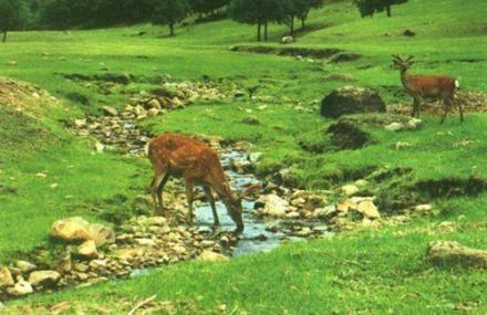 唐山长城狩猎场