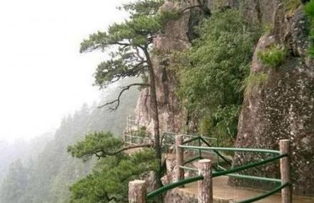 淄博寨里大张古瓷窑址