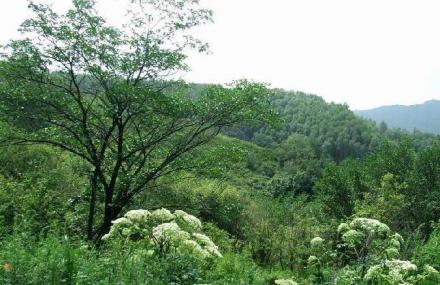 赤峰罕山