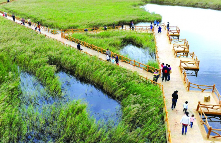 东营黄河口湿地生态园