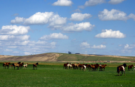 兴安盟七仙湖草原