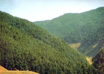 昆明凤凰山