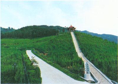 信阳江淮岭生态园