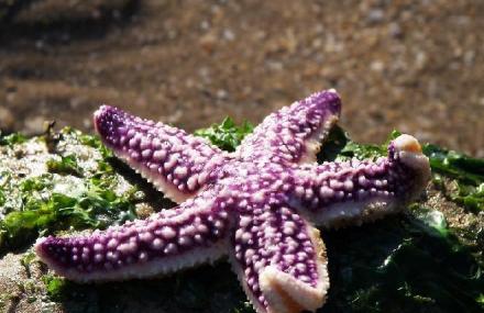 秦皇岛海滨休疗旅游区