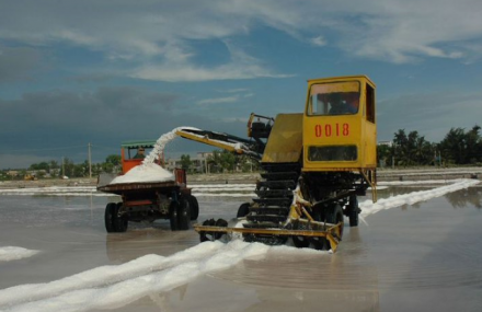 乐东莺歌海盐场