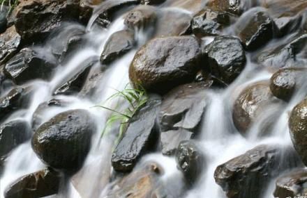 常州山野溪流
