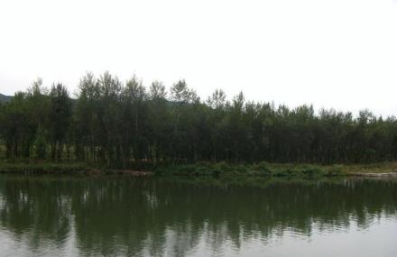 保定原始次生林