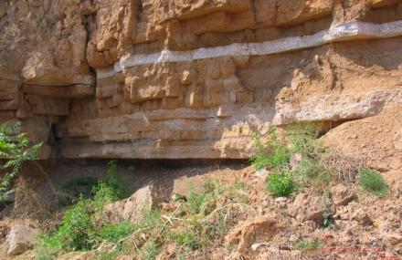 青岛夯土层保护亭