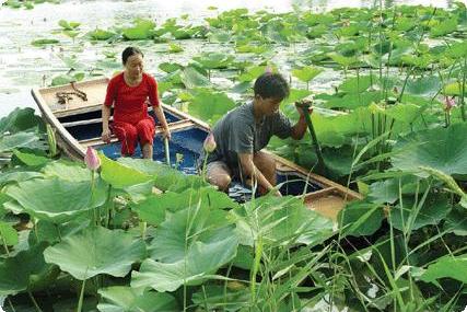 潍坊野生禽鸟湿地乐园