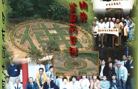 扬州鉴真药草园