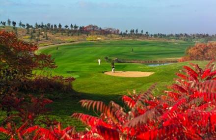 青岛国际高尔夫球场