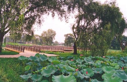 扬州铜山森林公园