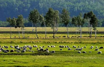 大兴安岭十八站遗址