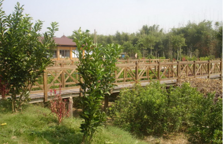 揭阳埔田生态农业观光