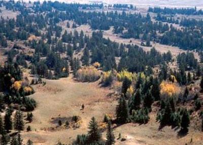 赤峰荣宪公主墓