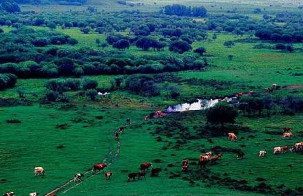 赤峰达拉哈旅游区