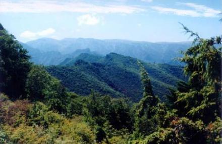 西安老县城自然保护区