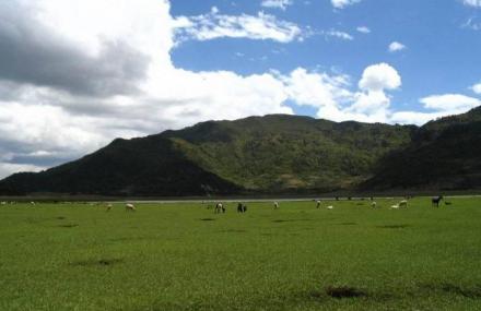 呼伦贝尔嘎仙洞森林公园