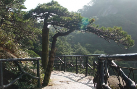 松原三青山马铃薯生态园