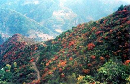 济源玉阳山