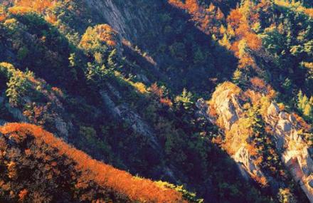 烟台岳姑殿景区