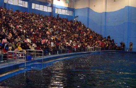 西安海豚表演馆