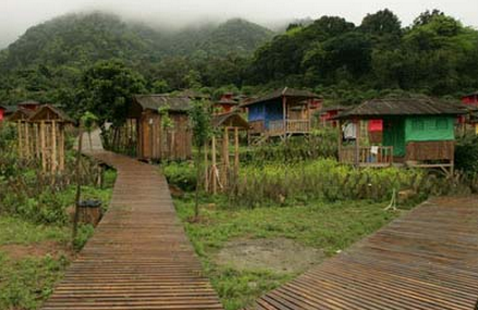 清远天门沟树上温泉