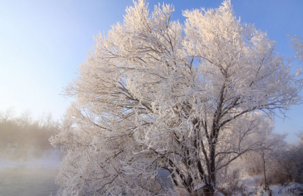 伊春库尔滨水库