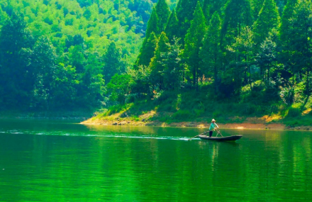 益阳沅江桃花江