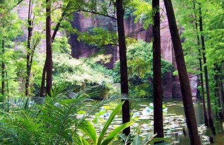 长春莲花自然保护区