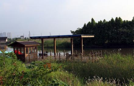绍兴镜湖湿地公园