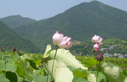 湘潭隐山湖湘文化