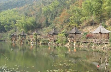 湖州古银杏长廊