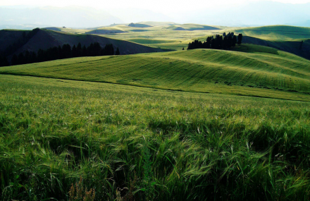 昌吉江布拉克草原