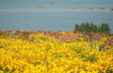 日照花仙子风景区