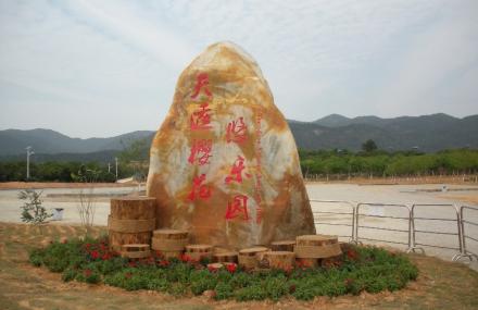 广州天适从化樱花悠乐园