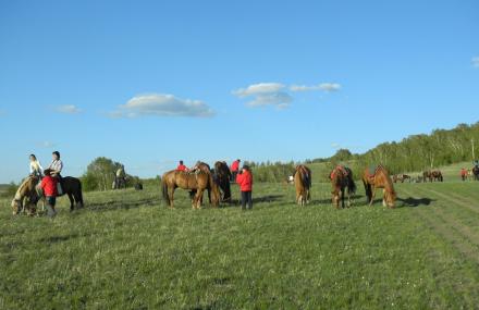 赤峰红山军马场