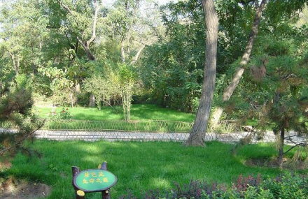 七台河勃利红星