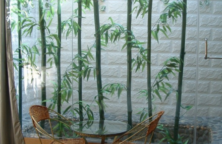 清远佛冈王潮温泉