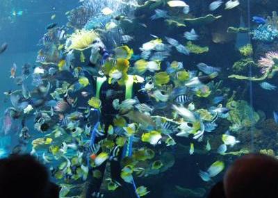 青岛海产博物馆