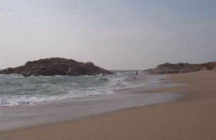 汕尾湖东狮球王