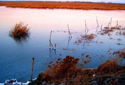 运城湿地自然保护区