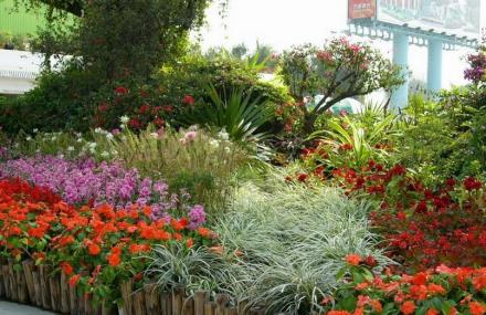 广州花卉博览园